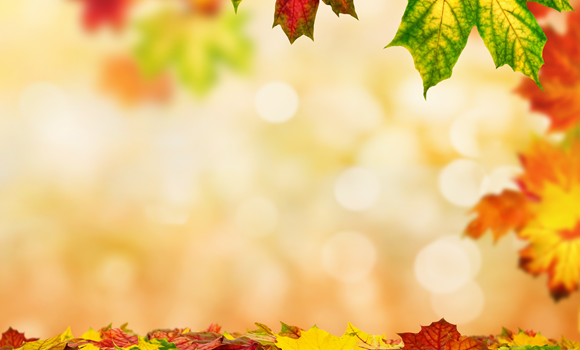 Achtsamkeit_slider.fw